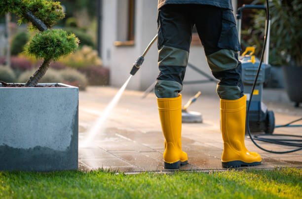 Best Pressure Washing Services Near Me  in Pierce City, MO